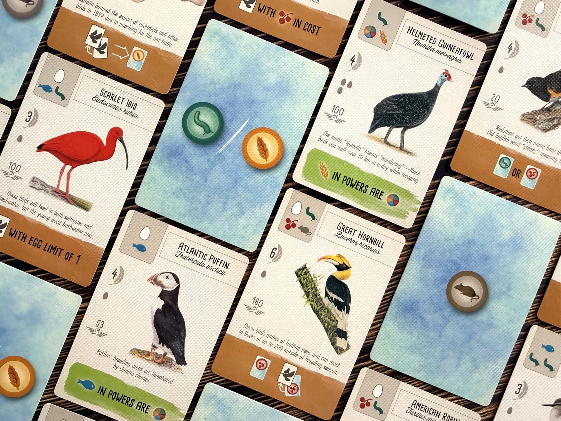 Stonemaier Games Board Games > Card Games WINGSPAN POCKET 850064100419 STM948