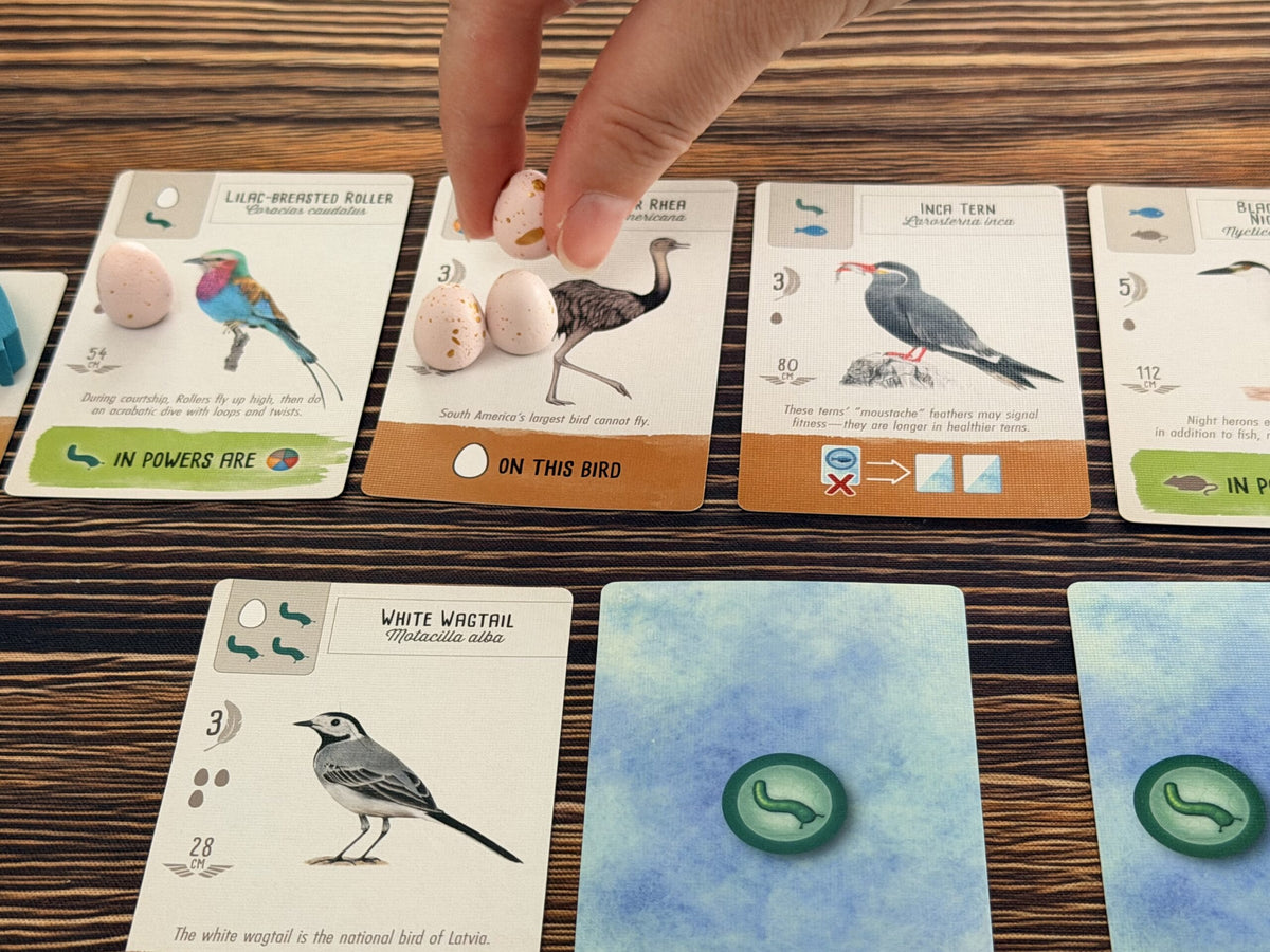 Stonemaier Games Board Games > Card Games WINGSPAN POCKET 850064100419 STM948