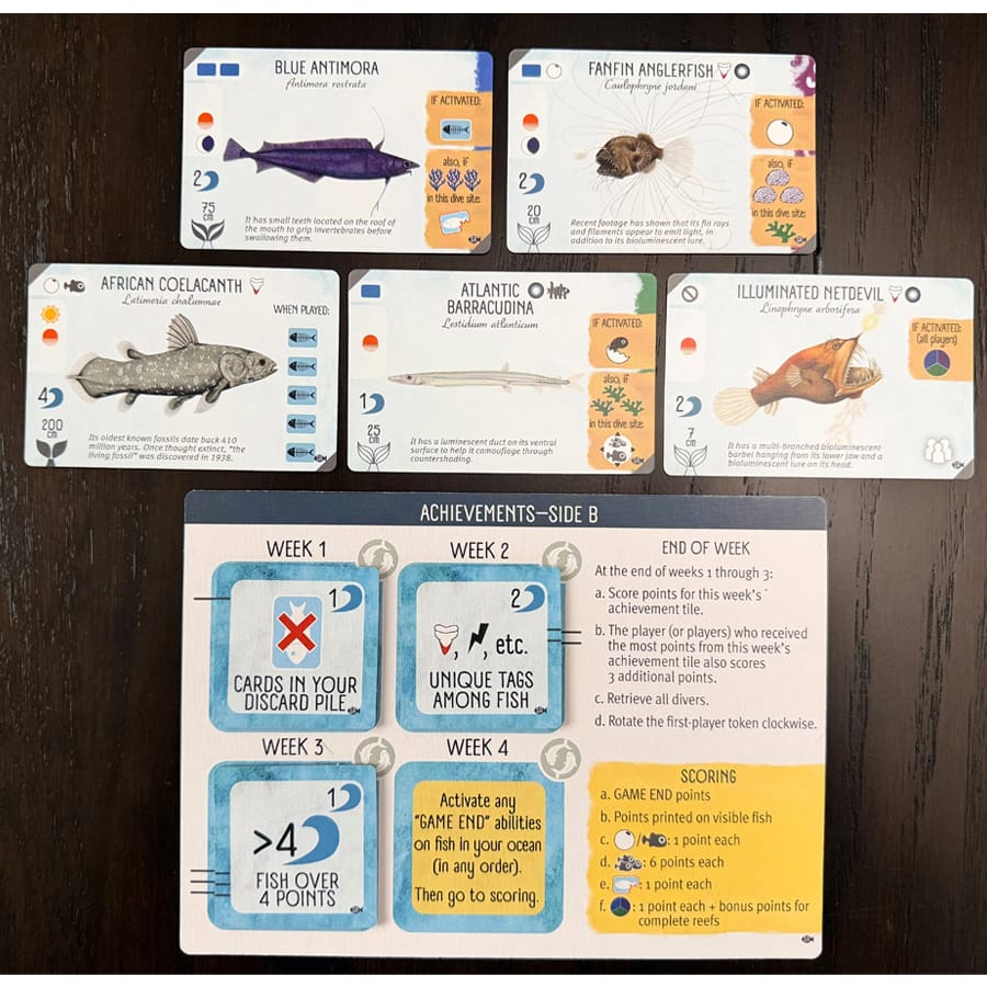 Stonemaier Games Board Games > Expansions Finspan: Sharks and Reef Expansion 850064100228 STM873