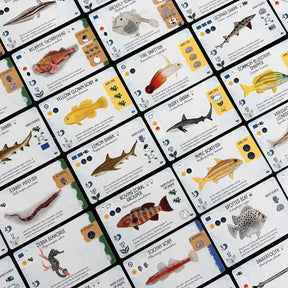 Stonemaier Games Board Games > Expansions Finspan: Sharks and Reef Expansion 850064100228 STM873