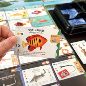 Stonemaier Games Board Games > Expansions Finspan: Sharks and Reef Expansion 850064100228 STM873