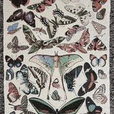 Strike Gently Co Home > Other Home Butterflies Woven Throw Blanket 60" X 80" Papilons
