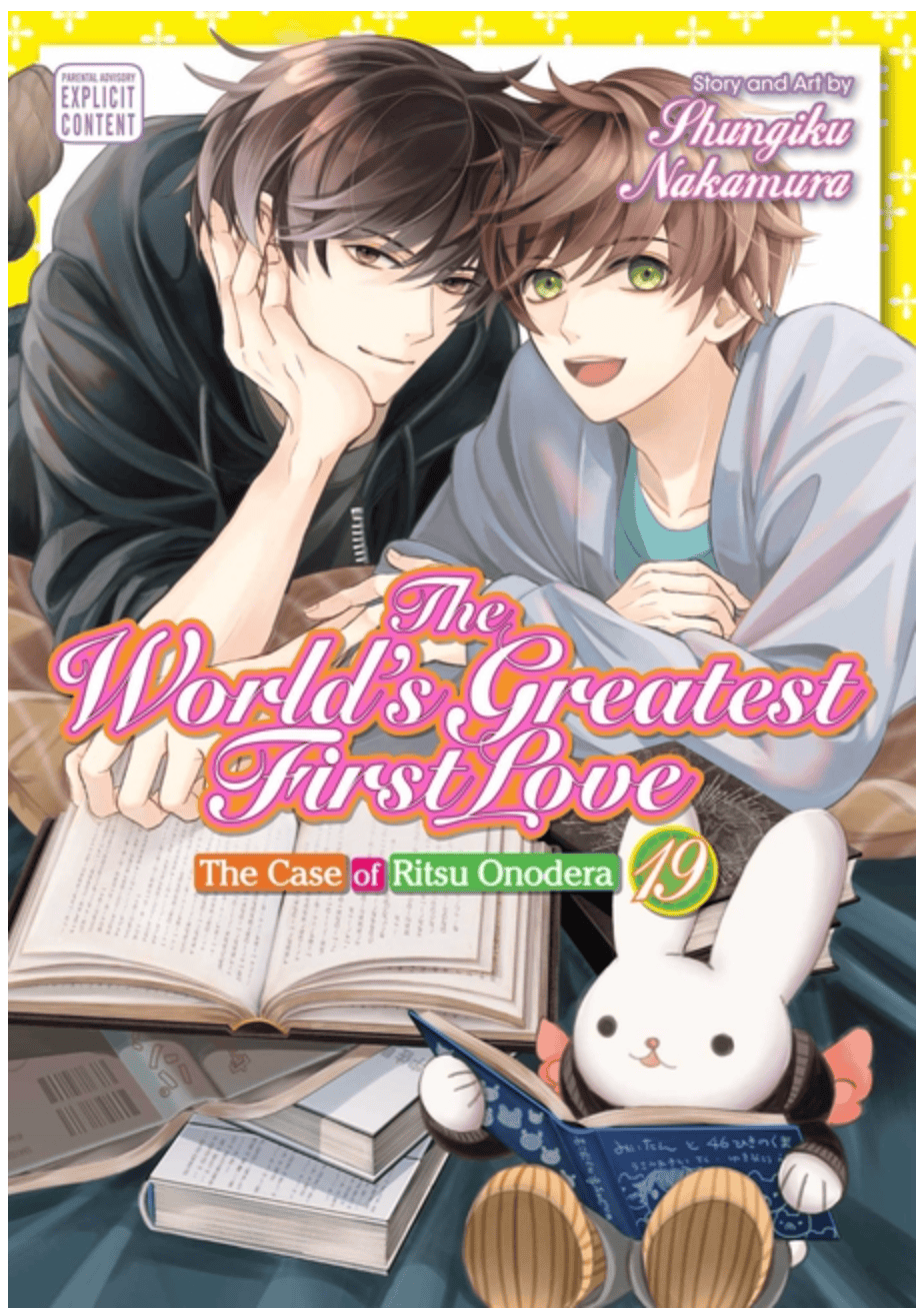 Sublime Manga The World's Greatest First Love, Vol. 19: The Case of Ritsu Onodera 9781974763030 ING-9781974763030