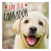 Summersdale Publishers Ltd Books > Art & Gifts > Pets Love Is a Labrador - Hardcover 9781786859822 MC-24704