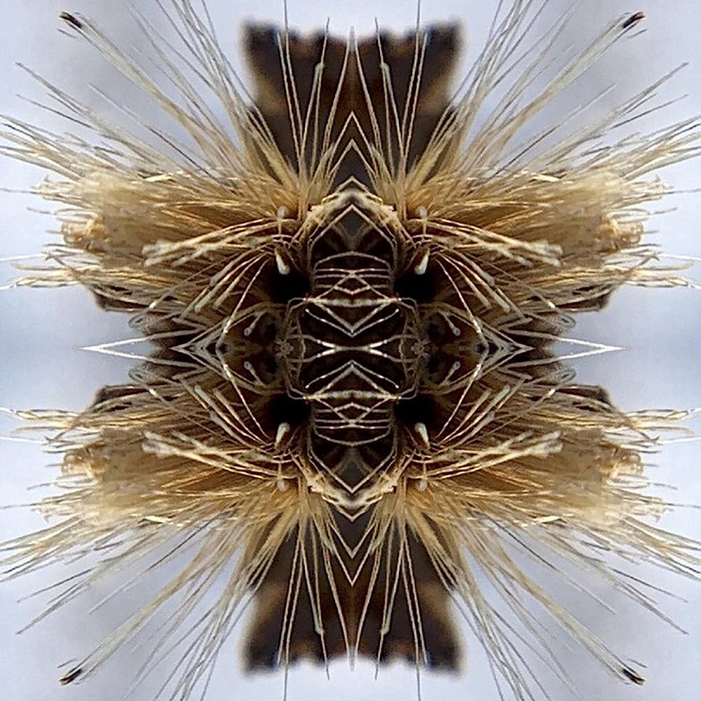 Yakuza Music > Vinyl Records Yakuza - Sutra 6430080233229 SVRD449C.1