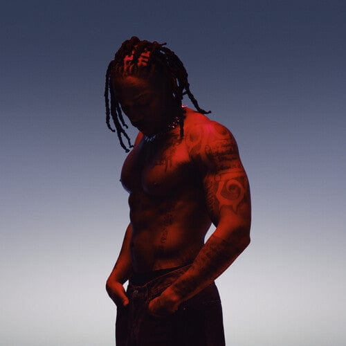 Tde Music LLC / Sir Music > Vinyl Records Sir - Heavy Vinyl 198391570551 TDE15.1