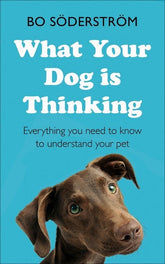 Teach Yourself Books > Art & Gifts > Pets What Your Dog Is Thinking - Paperback 9781473688360 MC-24039