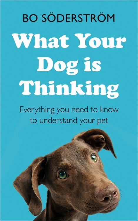 Teach Yourself Books > Art & Gifts > Pets What Your Dog Is Thinking - Paperback 9781473688360 MC-24039