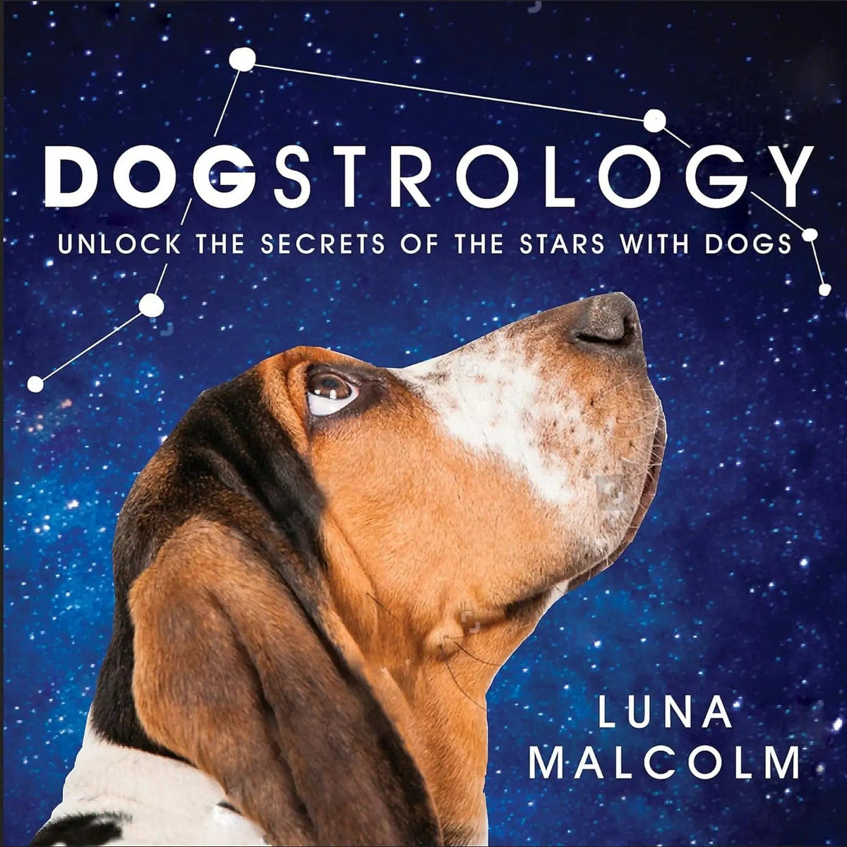 Texas Bookman Books > Art & Gifts Dogstrology: Unlock The Secrets Of The Stars With Dogs Hardcover 9781409193401 2211217