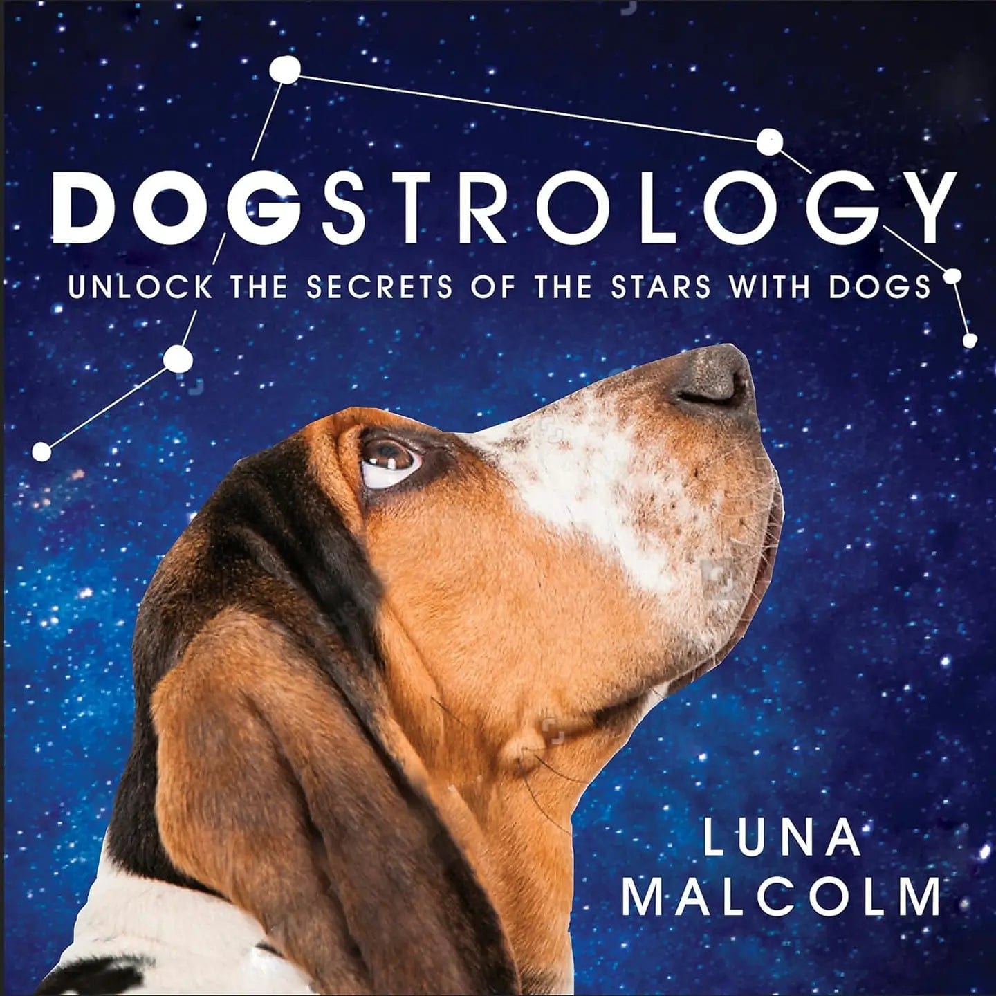 Texas Bookman Books > Art & Gifts Dogstrology: Unlock The Secrets Of The Stars With Dogs Hardcover 9781409193401 2211217