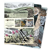 Texas Bookman Books > Journals Angela Harding: Wildlife (Set of 3) Standard Notebooks (Lined Journal) 9781804178379 2401457
