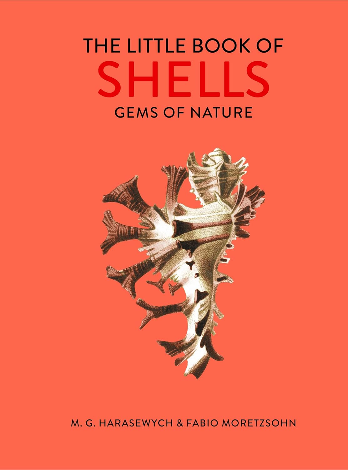 Texas Bookman Books > Smarts > Science Little Book Of Shells: Gems Of Nature (Hardcover) 8719262017184 2304141