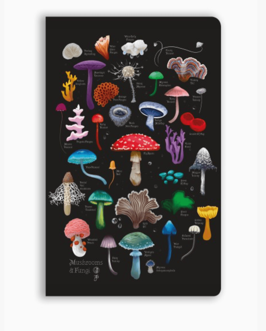 Texas Bookman Journals Anna Stead: Mushrooms & Fungi Soft Touch Journal 9781835627327 2510341