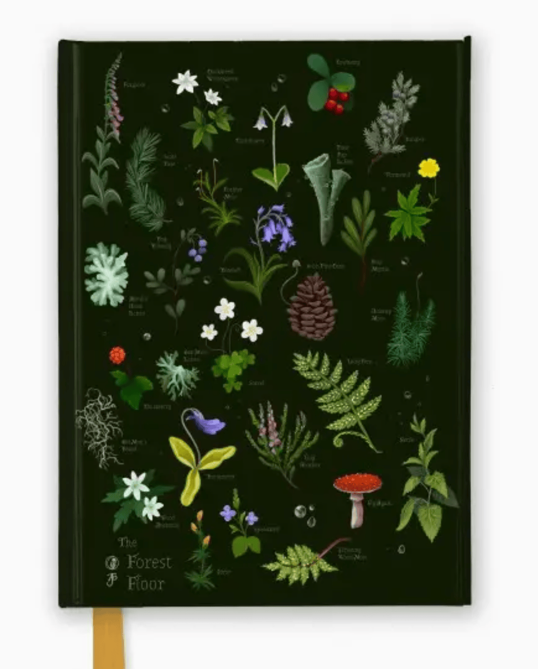 Texas Bookman Journals Anna Stead: the Forest Floor Journal 9781835626801 2508160