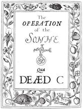 The Dead C - Operation of the Sonne