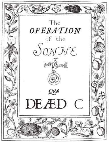 The Dead C - Operation of the Sonne