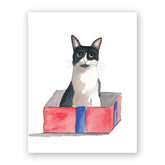 The Mincing Mockingbird Stationery > Greeting Cards Box Cat Birthday Card 3019bxc