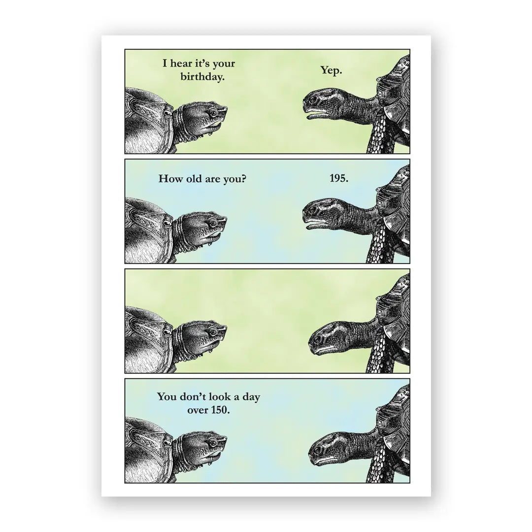 The Mincing Mockingbird Stationery > Greeting Cards Turtle Birthday Greeting Card 02377468