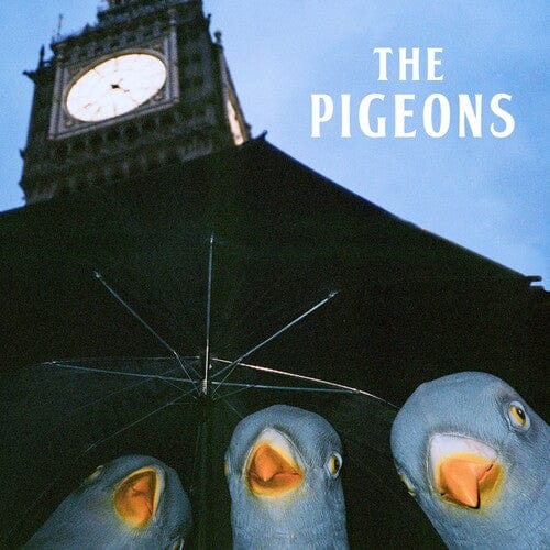 PIGEONS - Bird Brain Gang