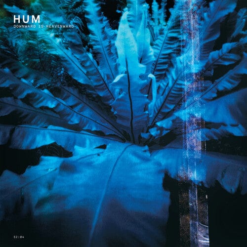 Third Eye Comics Hum - Downward Is Heavenward (180 Gram Vinyl, Bonus Tracks, Gatefold LP Jacket, Reissue) 644110507013 EANA3.1