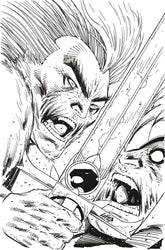 Dynamite Comic Books > Incentives THUNDERCATS #2 CVR ZD 1:11 FOC INCV LIEFELD B&W VIRGIN 72513034116702291 JAN247374