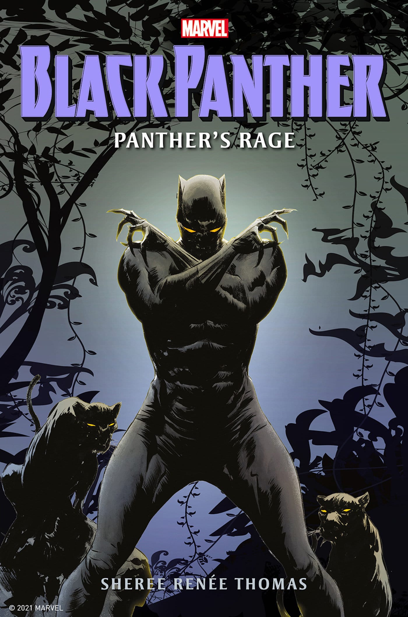 Titan Comics Graphic Novel Black Panther: Panther's Rage 9781803361109 PRH-9781803361109