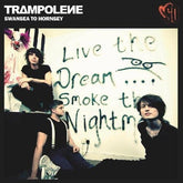 Trampolene Music > Vinyl Records Trampolene - Swansea To Hornsey (Colored Vinyl, Yellow, Anniversary Edition) 8720996261279 SROG11A.1