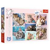 Trefl USA Puzzles > Jigsaw Puzzles Puzzle: In the Cat World 100 Piece (Trefl Kids) 5900511164206 TRE16420
