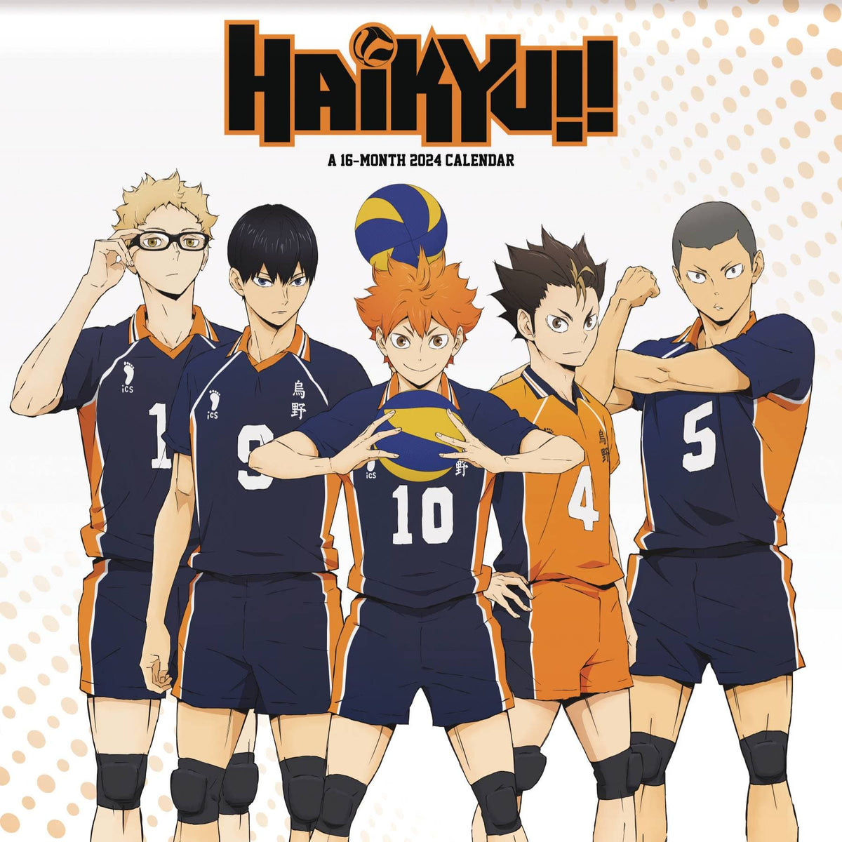 Trends International Decor > Other Decor 2024 Calendar: Haikyu!! 9781438894294 MAY232427