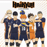 Trends International Decor > Other Decor 2024 Calendar: Haikyu!! 9781438894294 MAY232427