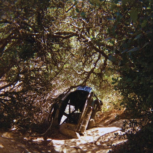 Ty Segall Music > Vinyl Records Ty Segall - Possession 781484091516 DRGC915.1