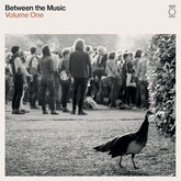 Various Artists Music > Vinyl Records Various Artists - End Of The Road Presents, Between The Music /  Var 5053760095552 EOTR3.1