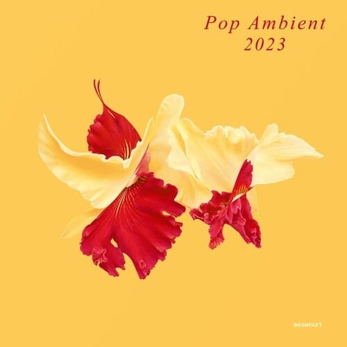 Various Artists Music > Vinyl Records Various Artists - Pop Ambient 2023 4250101442414 KMPK455.1