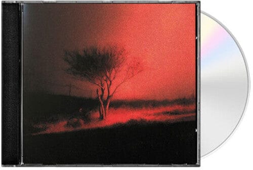 Virgin Music Group Music > Compact Discs Joji - Piss In The Wind [Explicit Content] (Parental Advisory Explicit Lyrics) 198704742835 PCEK4742835.2