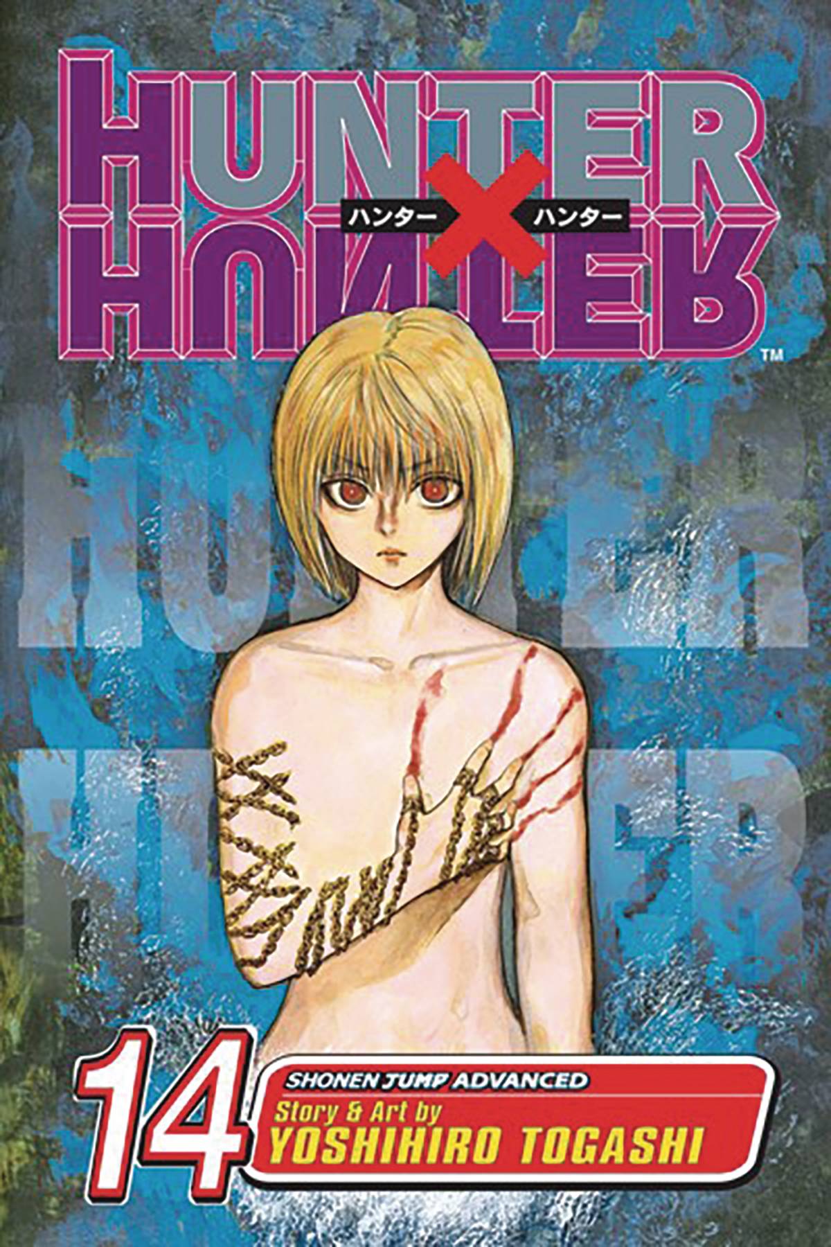 VIZ MEDIA LLC Manga HUNTER X HUNTER GN VOL 14 NEW PTG 9781421510705