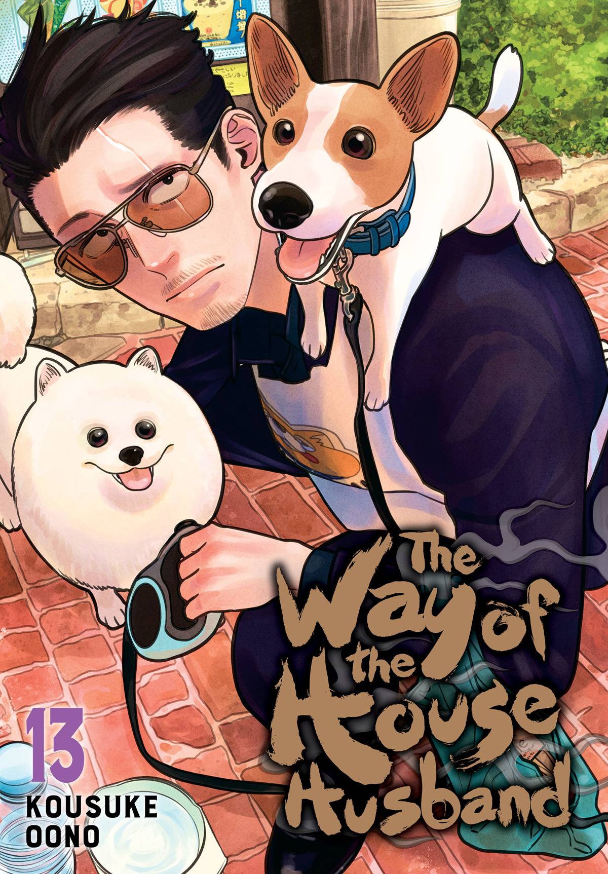 VIZ MEDIA LLC Manga WAY OF THE HOUSEHUSBAND GN VOL 13 978197475199051499 JAN252022