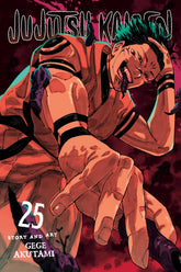 Viz Media Manga JUJUTSU KAISEN GN VOL 25 9781974751884 ING-9781974751884