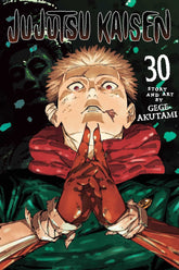 Viz Media Manga Jujutsu Kaisen Volume 30 9781974763405 TE-S-9781974763405