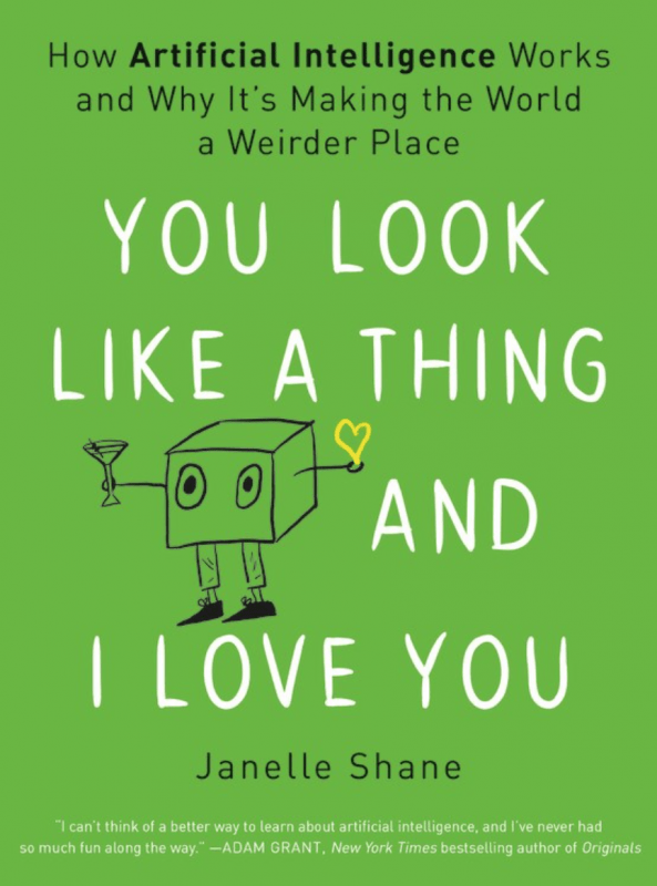 Voracious Books > Smarts > Science You Look Like a Thing and I Love You: How Artificial Intelligence Works and Why It's Making the World a Weirder Place - Hardcover 9780316525244 MC-27300