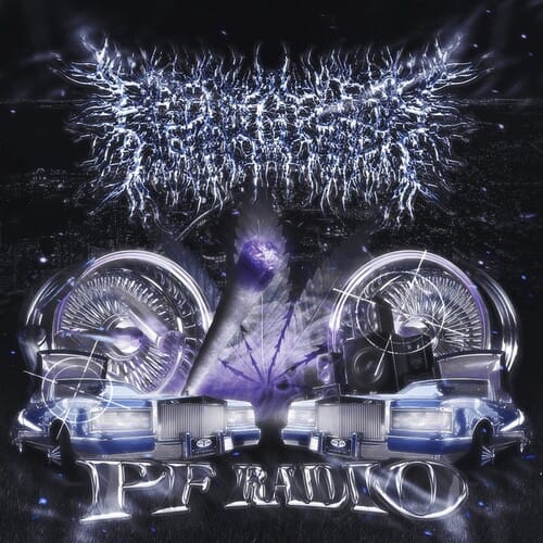 Vydia, INC. Music > Compact Discs Peelingflesh - Pf Radio [Explicit Content] [CD] 798576417093 DAZE3.2