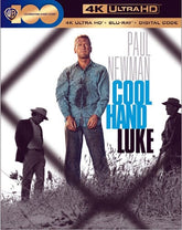 Warner Home Video Movies 4K: Cool Hand Luke 883929792269 WHV1000814897UHD