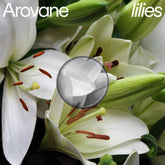 Arovane Music > Vinyl Records AROVANE - Lilies 880918257839 KPLA14.1