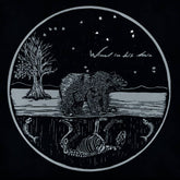 Wind In His Hair Music > Vinyl Records Wind In His Hair - Future Primitives 4260688191322 SECS102.1