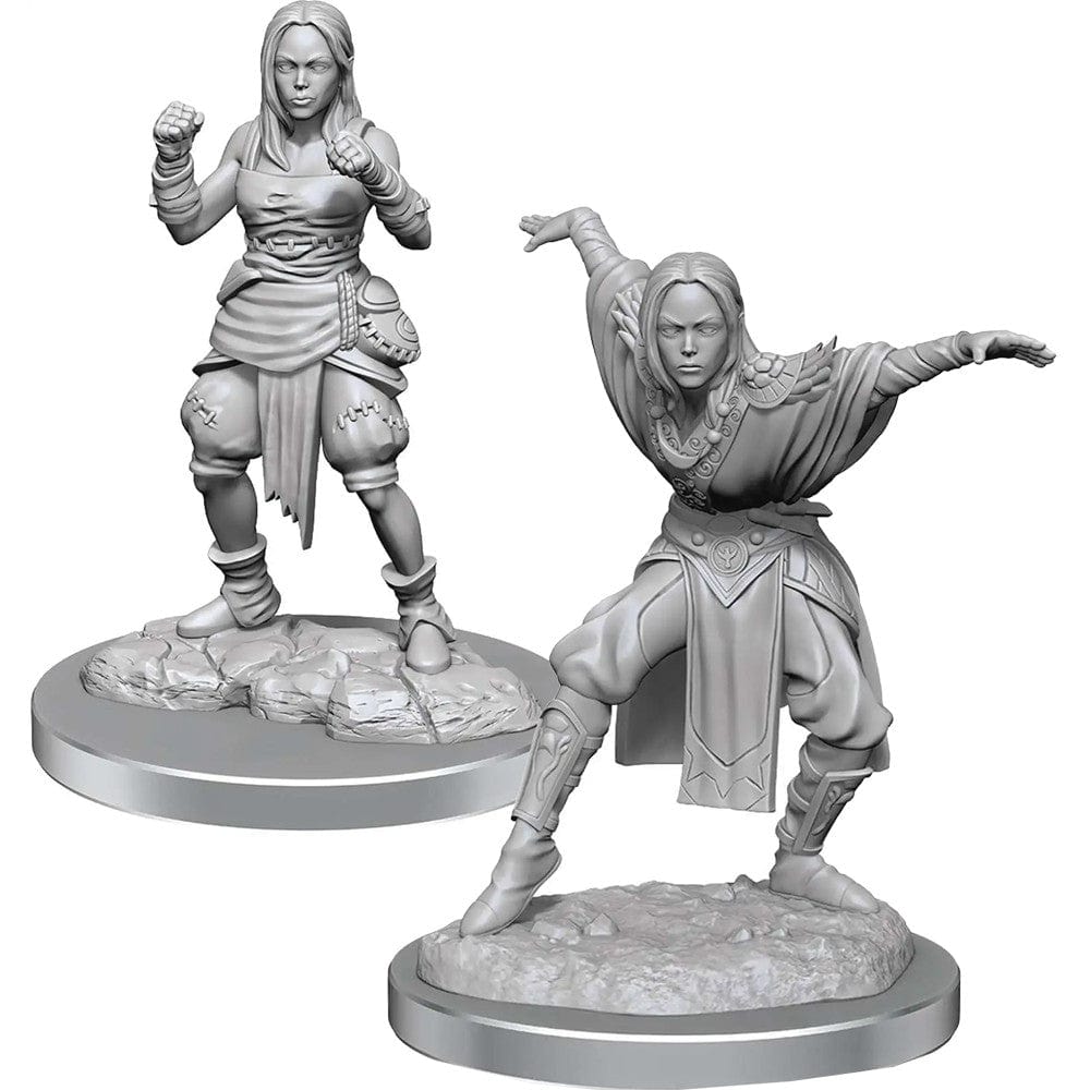 WizKids (Neca) Miniatures > WizKids Pathfinder Deep Cuts: Half-Elf Monk Females 634482906521 WZK 90652