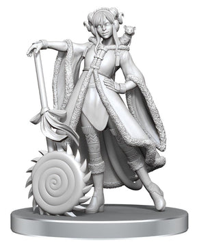 WizKids (Neca) Miniatures > WizKids Critical Role Unpainted Miniatures: W26 Jester Lavorre & Fjord Stone 634482907917 WZK 90791