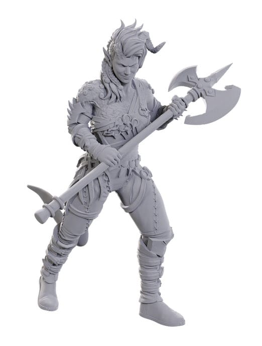 WizKids (Neca) Miniatures > WizKids D&D: Nolzur's Marvelous Unpainted Miniatures - Baldur's Gate 3, Wyll & Karlach 634482963678 WZK 96367