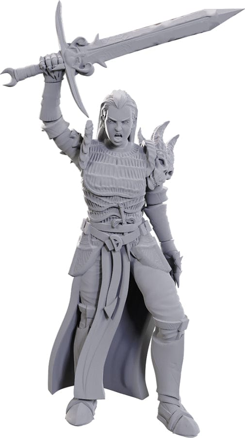 WizKids (Neca) Miniatures > WizKids Dungeons & Dragons: Nolzur's Marvelous Unpainted Miniatures - Blackguard (W25) 634482907726 WZK 90772
