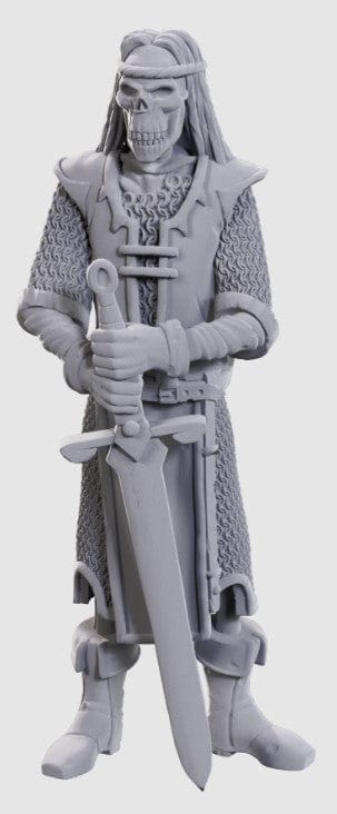WizKids (Neca) Miniatures > WizKids Dungeons & Dragons Nolzur's Marvelous Unpainted Miniatures: Limited Edition 50th Anniversary - Skeleton Knights 634482907368 WZK 90736