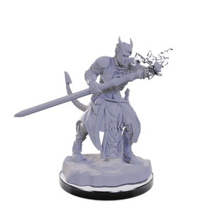 WizKids (Neca) Miniatures > WizKids Dungeons & Dragons: Nolzur's Marvelous Unpainted Miniatures - W22 Tiefling Warlocks 634482906705 WZK 90670