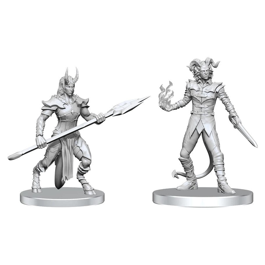 WizKids (Neca) Miniatures > WizKids Pathfinder Battles Deep Cuts: Vordine & Pitborn Rogue 634482908402 WZK90840
